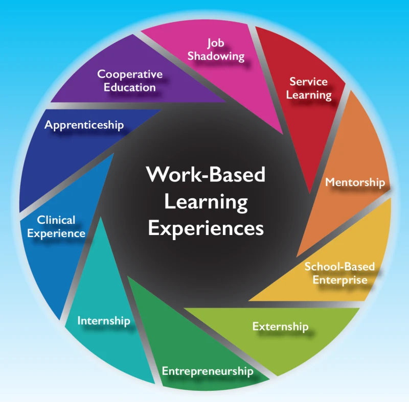 Work-based learning improves the employability of young people